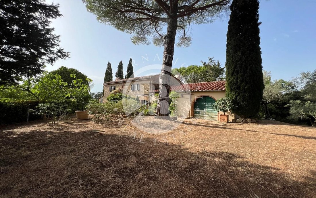 Villa in Guardistallo, Tuscany, Italy 3 - 15456499