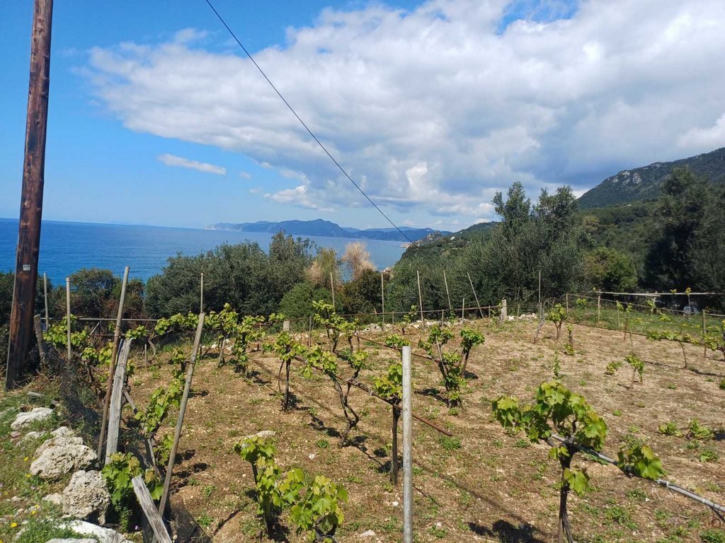 Land in Meliteieis, Peloponnese, Western Greece and the Ionian, Greece 5 - 15456255