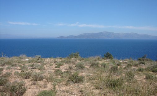 Land in Marathonas, Attica, Greece 1