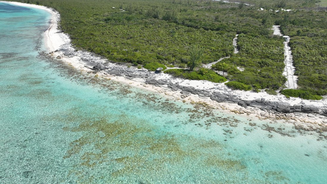Terrain en Sandy Point, Caicos Islands, Îles Turks et Caïques 3 - 15459413
