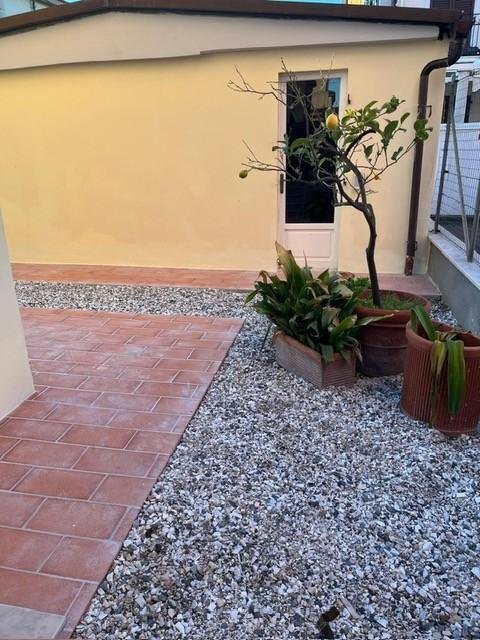 Country House in Marina di Massa Centro, Massa, Italy 4 - 15459001