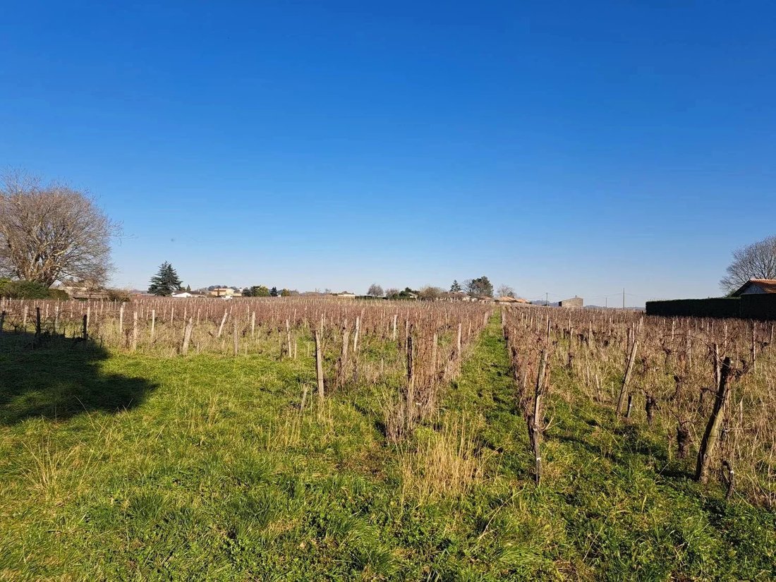 Estate in Saint-Émilion, Nouvelle-Aquitaine, France 2 - 14401265