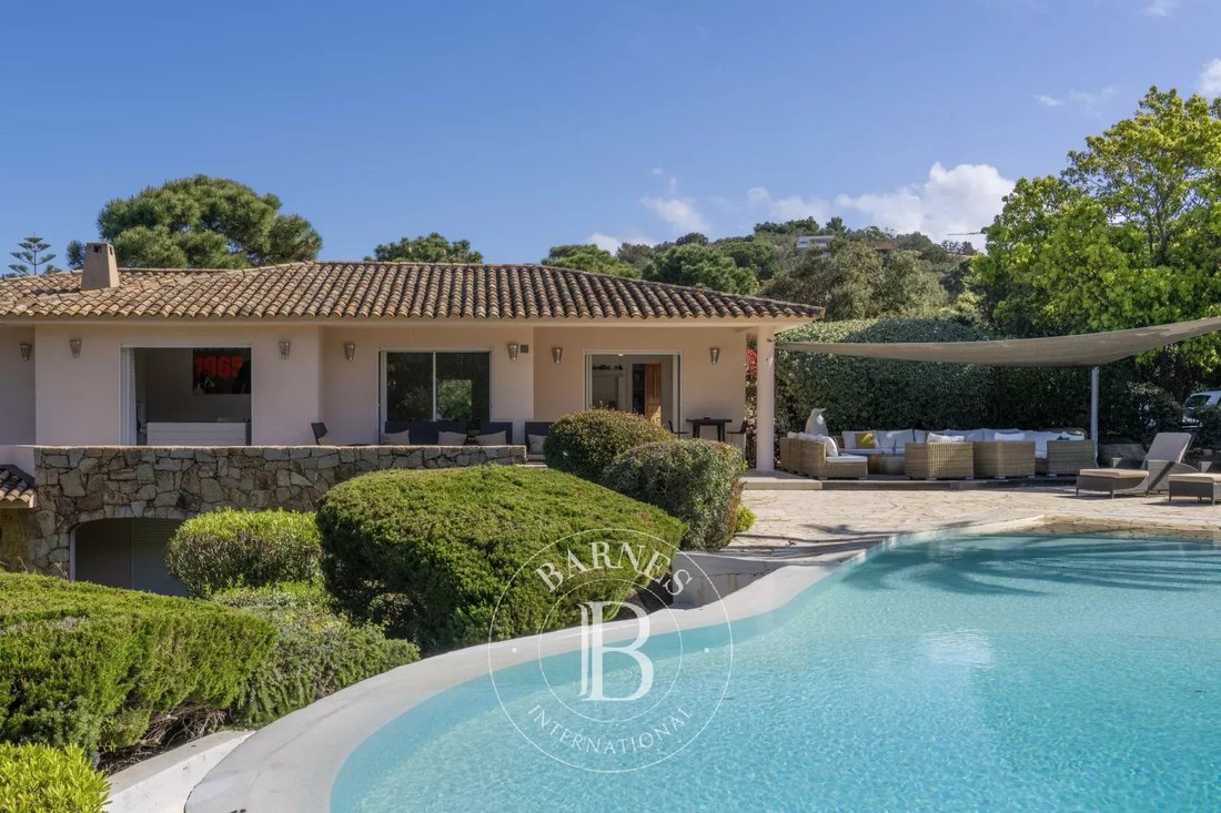 Villa in Lecci, Corsica, France 3 - 15456213