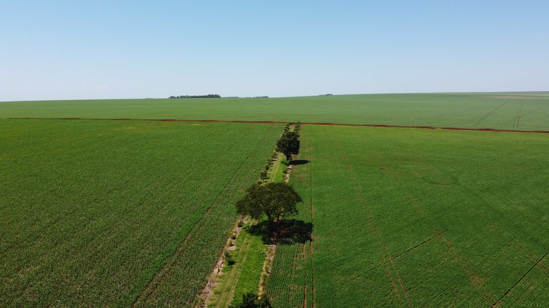 Land in Santa Fe del Paraná, Alto Paraná Department, Paraguay 1 - 15460310