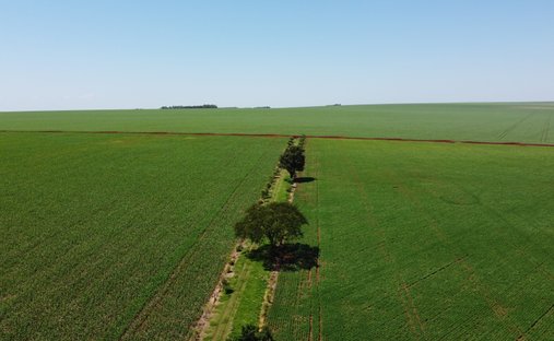 Land in Santa Fe del Paraná, Alto Paraná Department, Paraguay 1