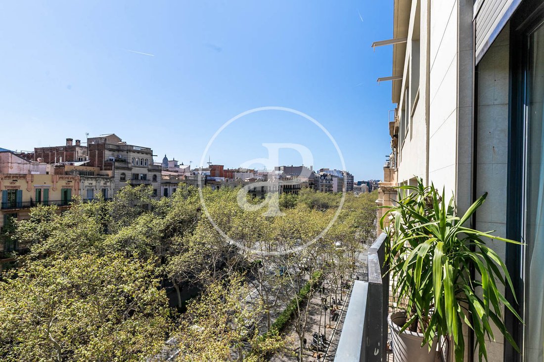 Apartment in Eixample, Barcelona, Spain 5 - 15460533