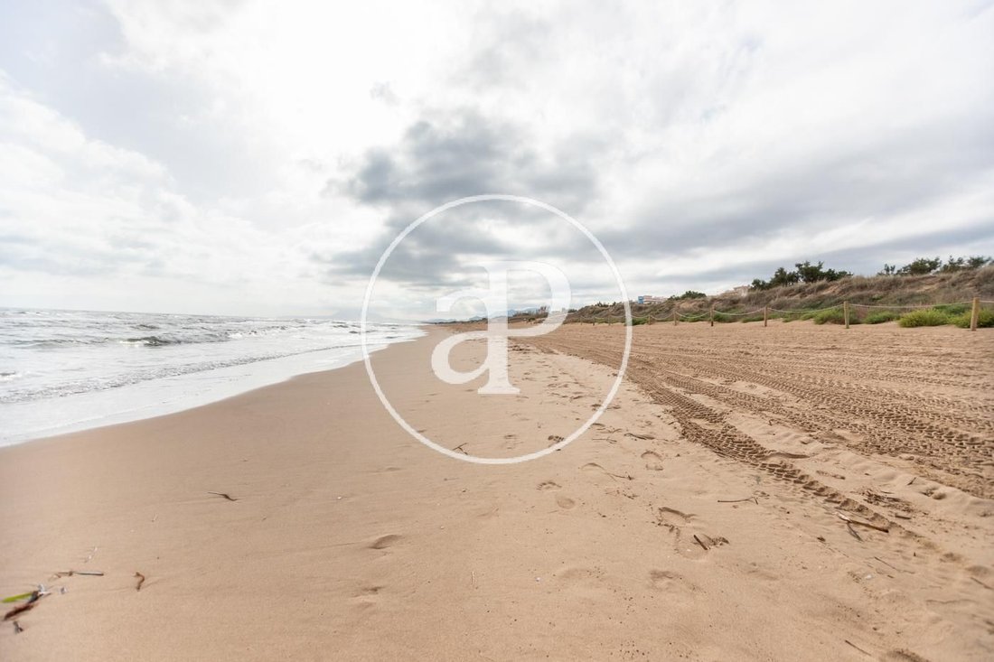Land in Oliva, Valencian Community, Spain 3 - 15460377
