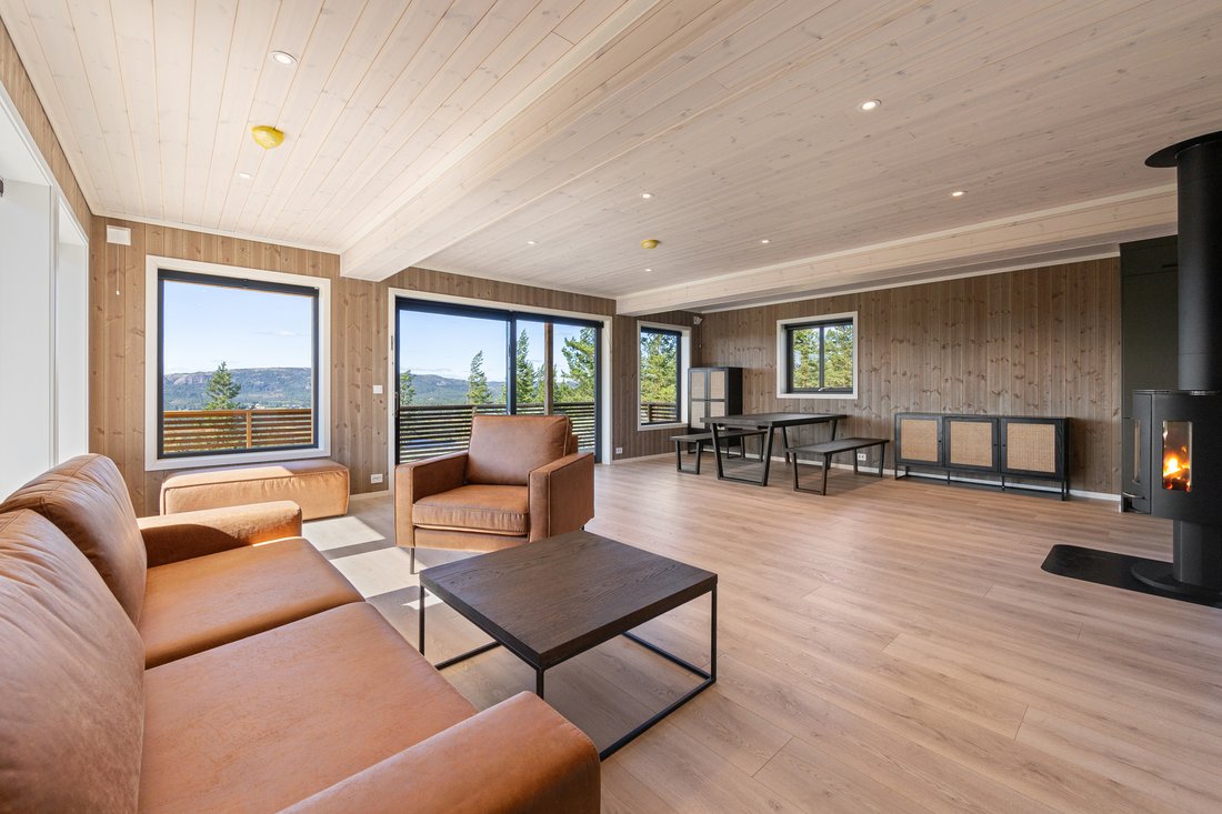 Country House in Vedlausfjell, Telemark, Norway 3 - 15460398