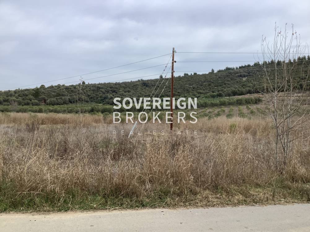 Land in Polygyros, Macedonia and Thrace, Greece 4 - 15461567