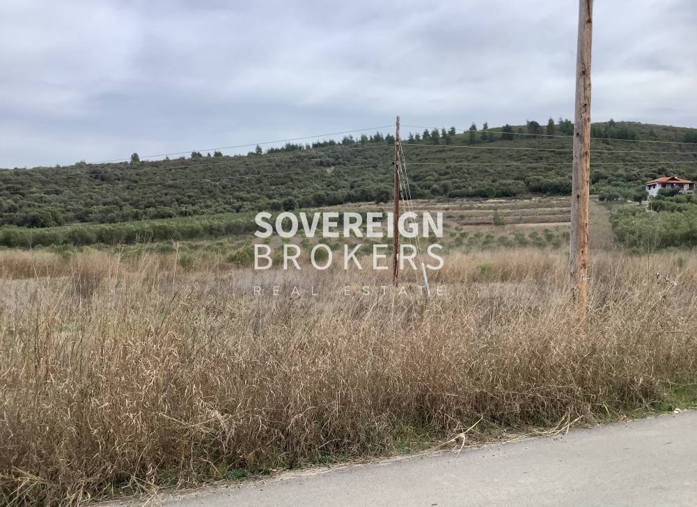 Land in Polygyros, Macedonia and Thrace, Greece 1 - 15461567
