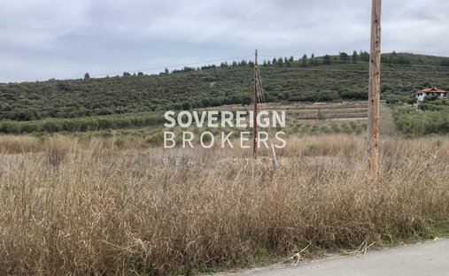 Land in Polygyros, Macedonia and Thrace, Greece 1