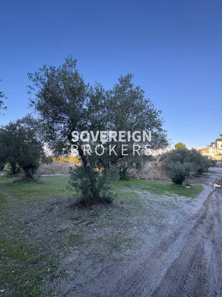 Land in Kassandra, Macedonia and Thrace, Greece 1 - 15461610