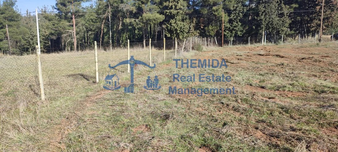 Terreno a Pylaia, Decentralized Administration of Macedonia and Thrace, Grecia 5 - 15461774