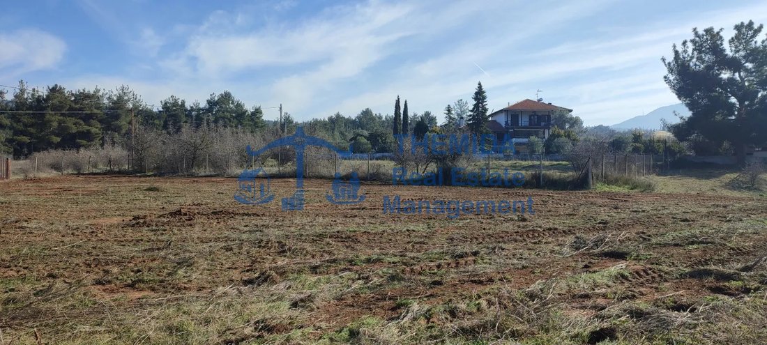 Terreno a Pylaia, Decentralized Administration of Macedonia and Thrace, Grecia 1 - 15461774