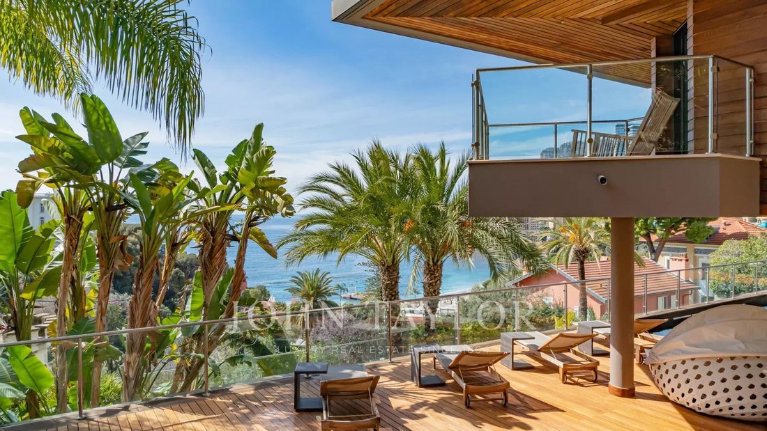 Villa in Cap Martin, Roquebrune-Cap-Martin, France 3 - 11242826