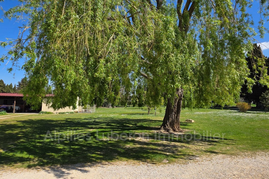 Villa in Eygalières, Provence-Alpes-Côte d'Azur, France 4 - 15444828