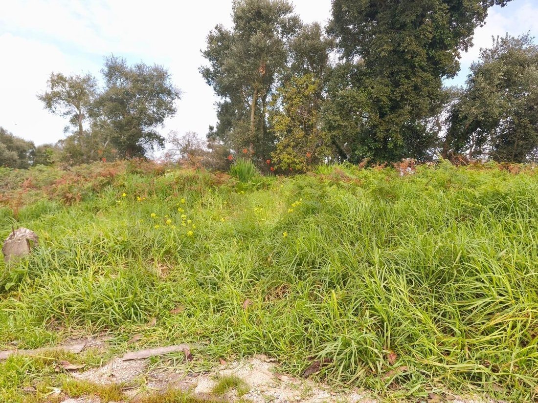 Land in Encarnacao, Lisbon, Portugal 5 - 15465586