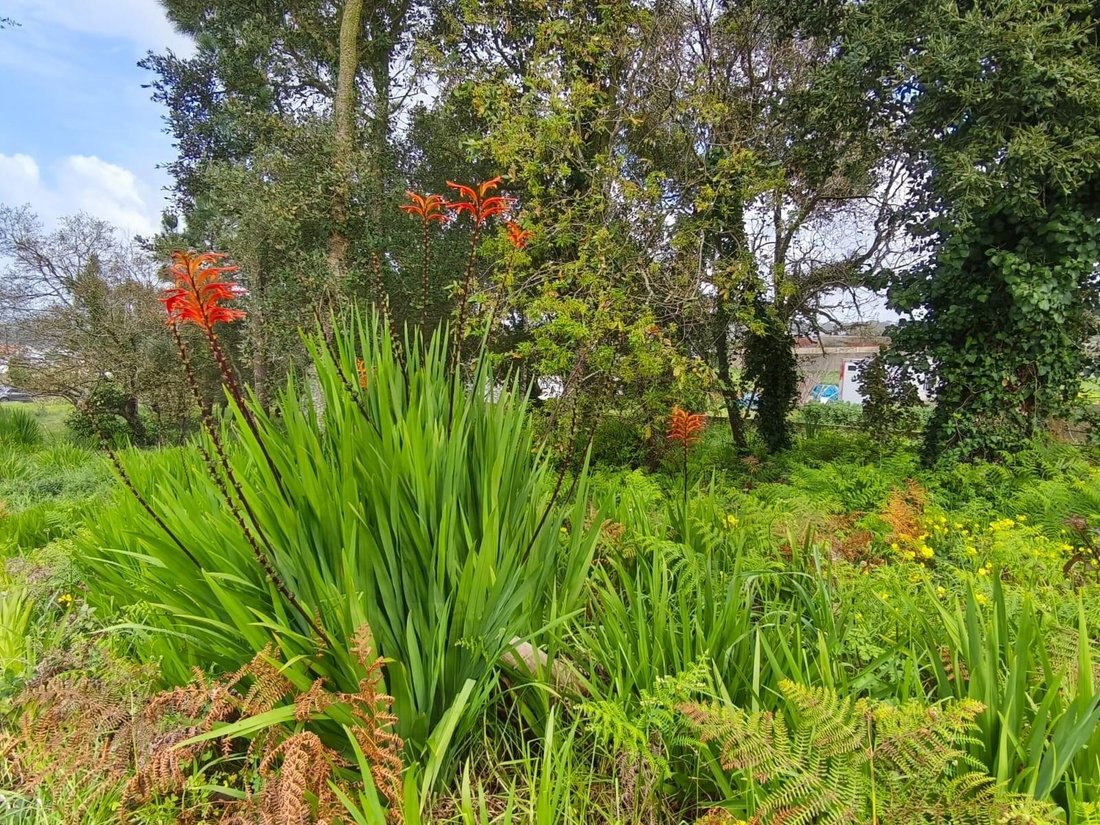 Land in Encarnacao, Lisbon, Portugal 1 - 15465586