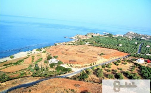 Land in Laconia, Peloponnese, Western Greece and the Ionian, Greece 1