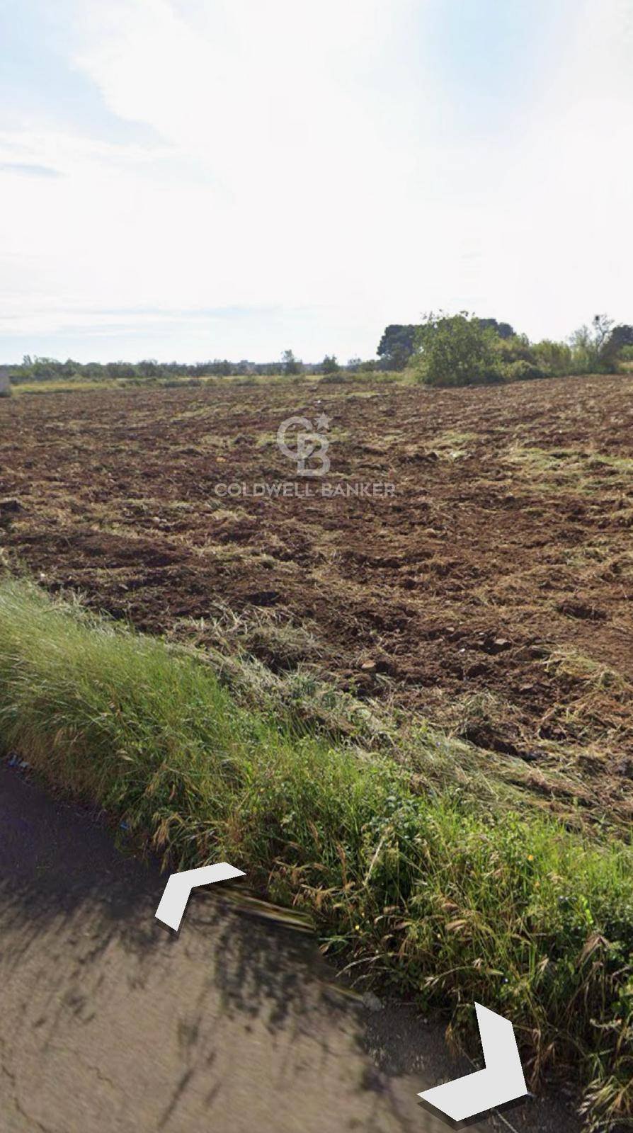 Land in Castromediano, Apulia, Italy 4 - 15464630