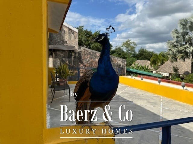 Country House in Kinchil, Yucatan, Mexico 4 - 15466797
