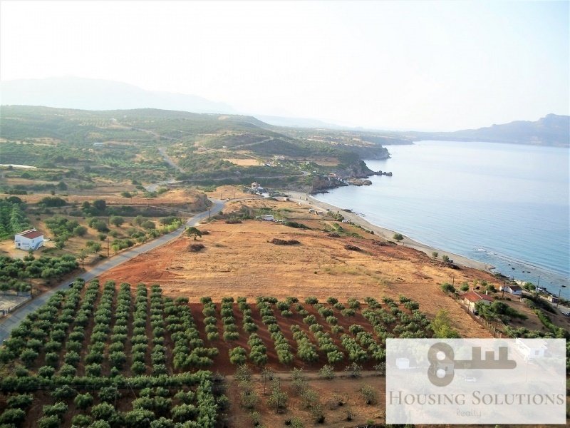 Land in Laconia, Peloponnese, Western Greece and the Ionian, Greece 4 - 15463451