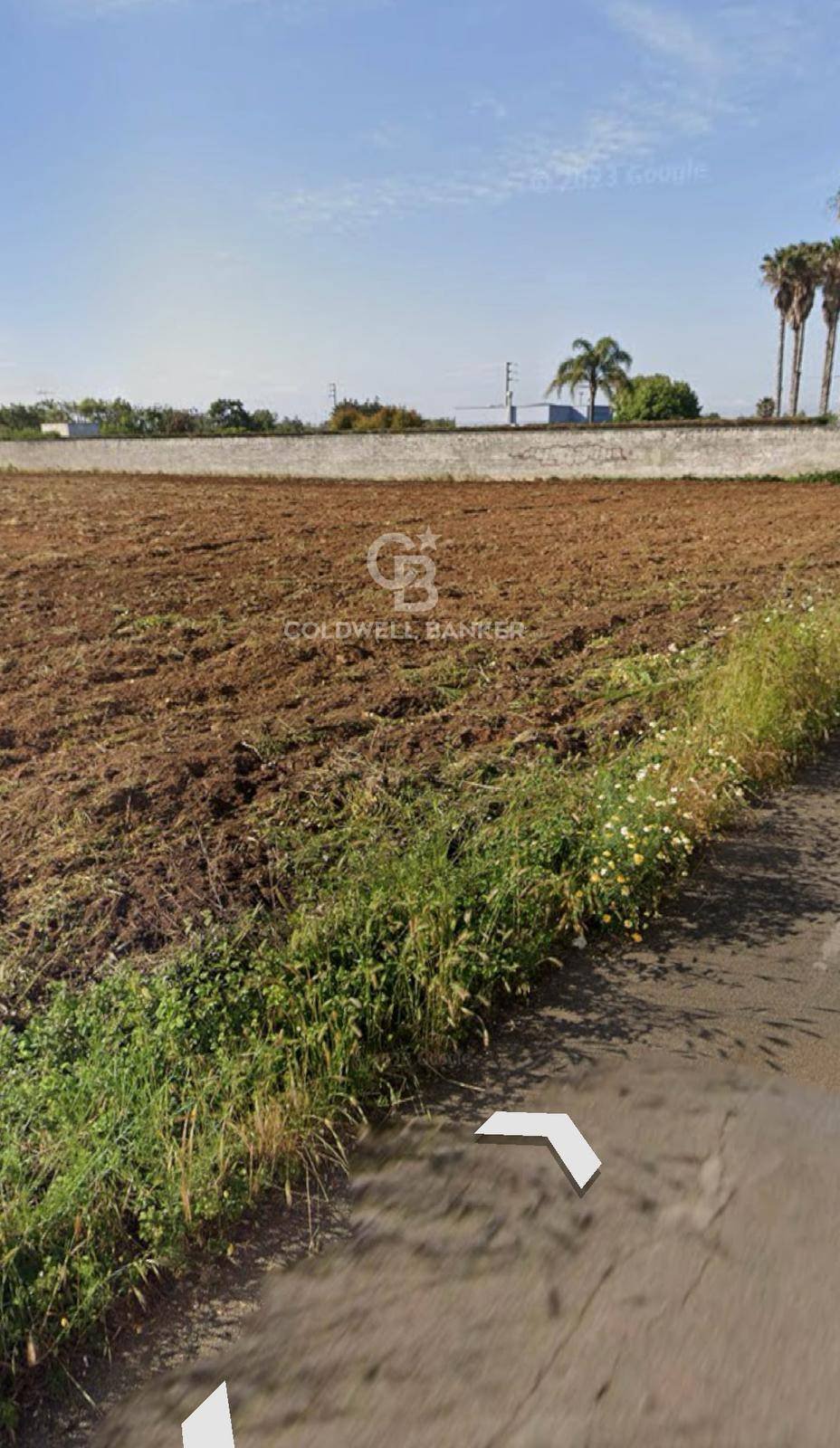 Land in Castromediano, Apulia, Italy 3 - 15464630