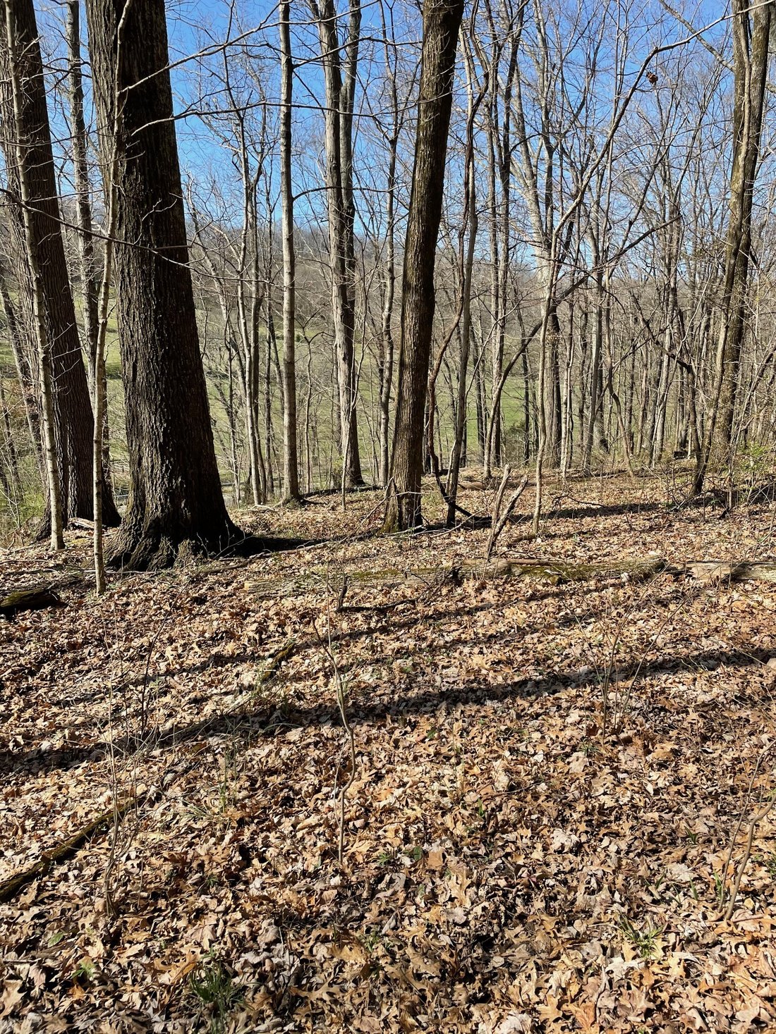 Land in Franklin, Tennessee, United States 1 - 15465227