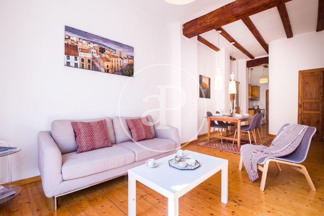 Apartment in Ciutat Vella, Valencia, Spain 3 - 15465587