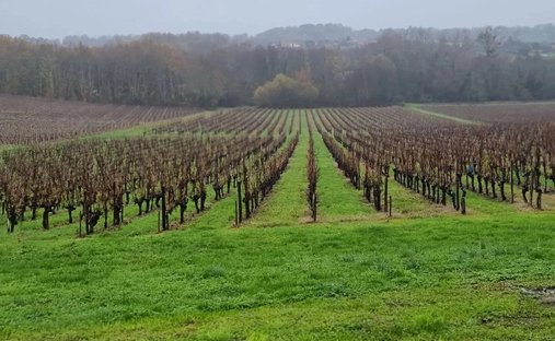 Tenuta a Bordeaux, Nuova Aquitania, Francia 1
