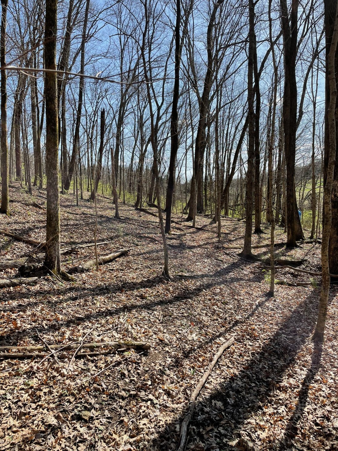 Land in Franklin, Tennessee, United States 4 - 15465227