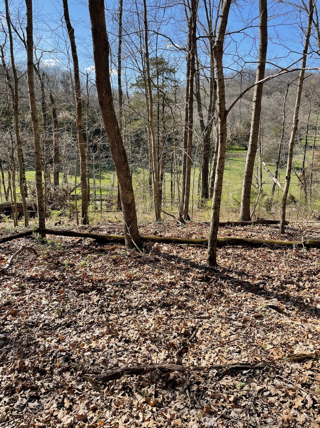 Land in Franklin, Tennessee, United States 2 - 15465227