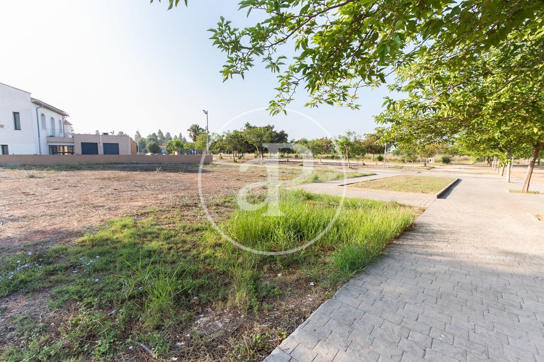 Land in Massamagrell, Valencian Community, Spain 4 - 15465566