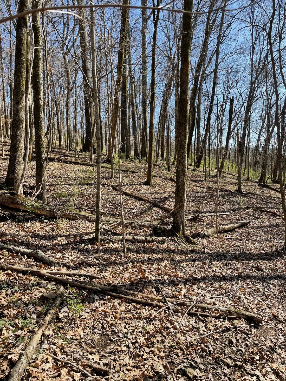 Land in Franklin, Tennessee, United States 3 - 15465227