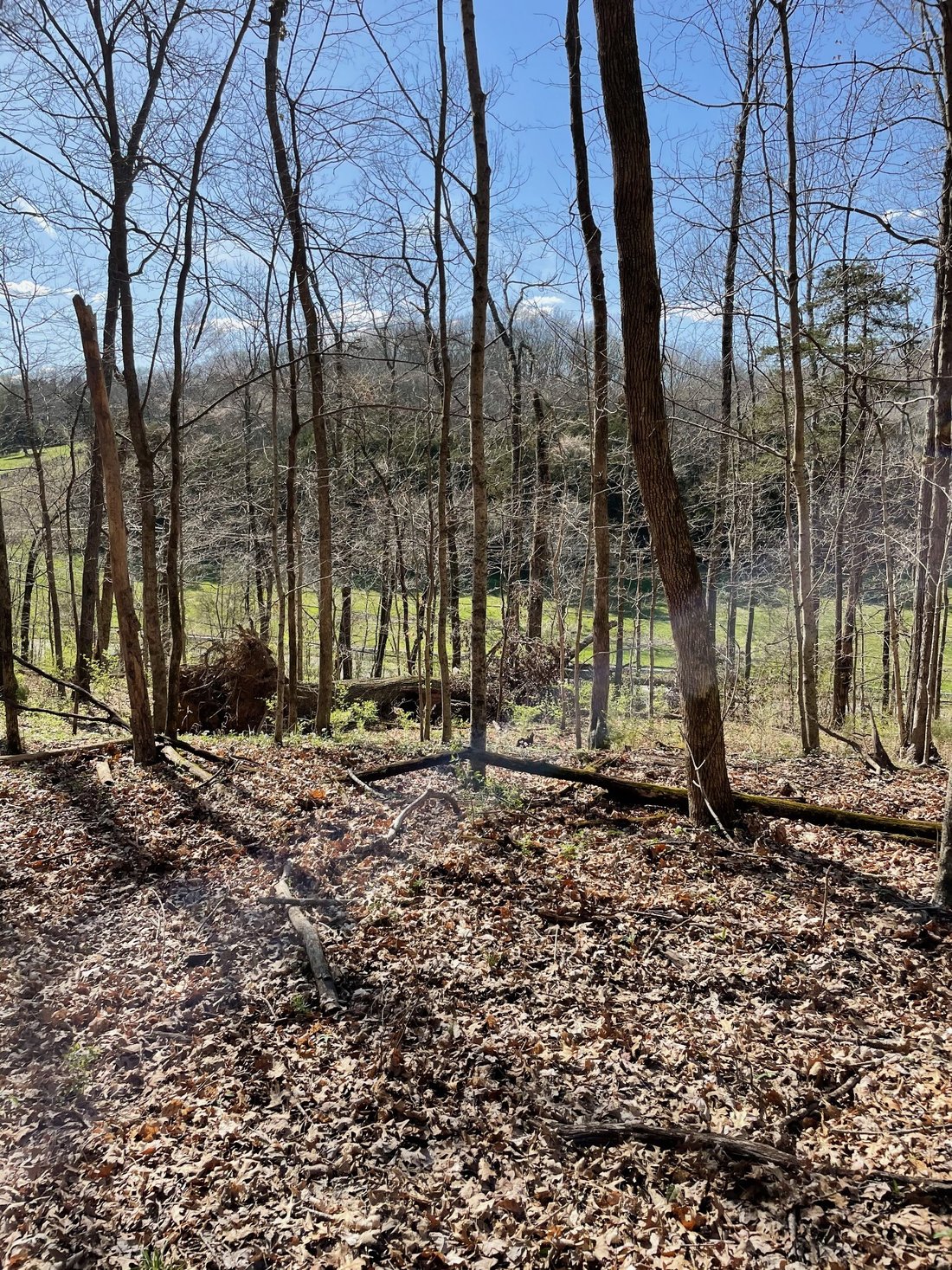 Land in Franklin, Tennessee, United States 5 - 15465227