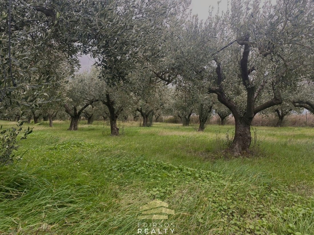 Land in Istiaia-Aidipsos, Thessaly and Central Greece, Greece 2 - 15463406