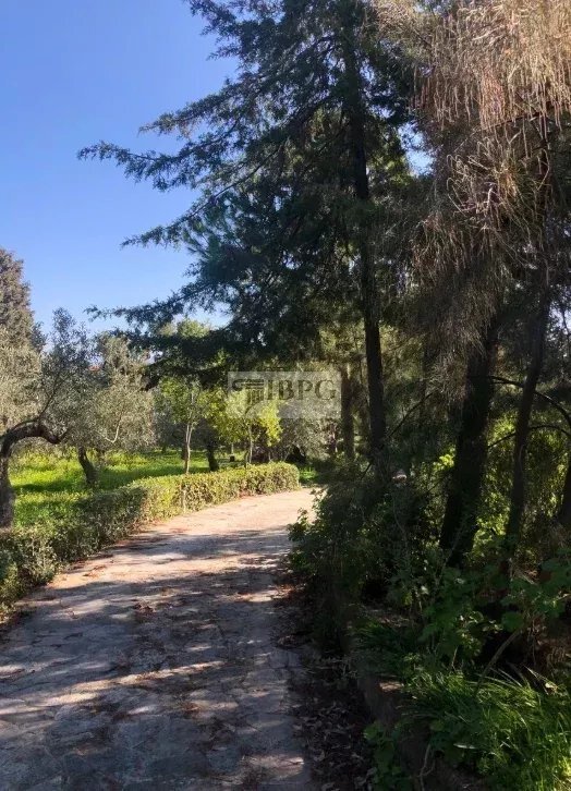 House in Avlis, Thessaly and Central Greece, Greece 3 - 15464059