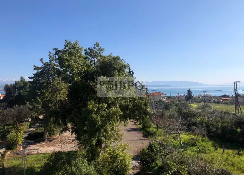 House in Avlis, Thessaly and Central Greece, Greece 4 - 15464059