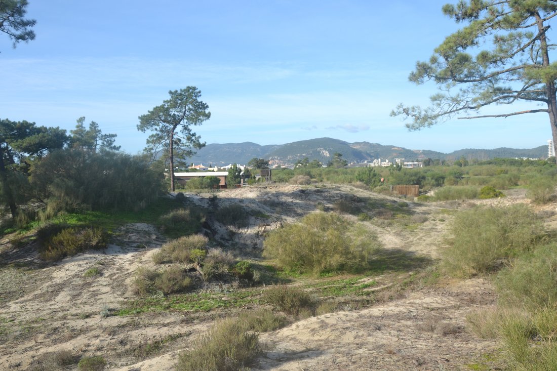 Land in Carvalhal, Setubal, Portugal 3 - 15468481