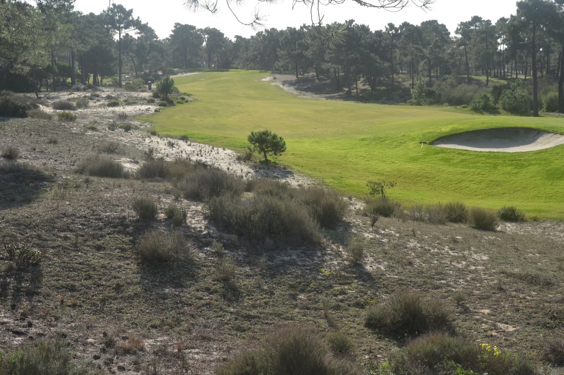 Land in Carvalhal, Setubal, Portugal 2 - 15468481