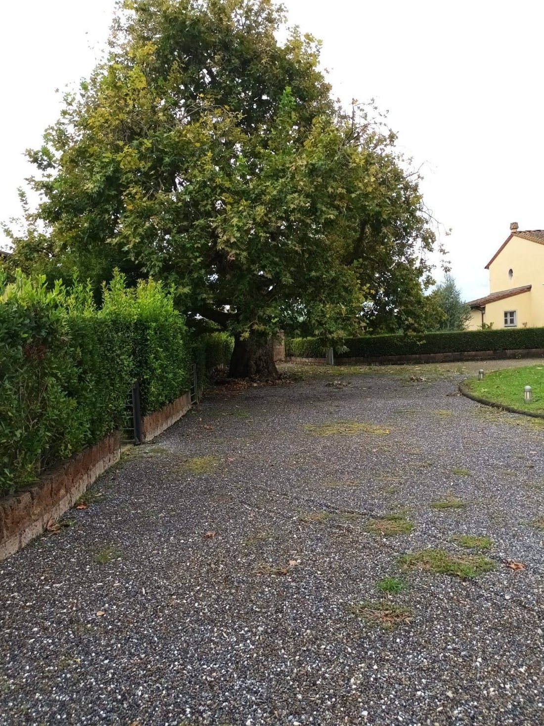 Casa a San Giuliano Terme, Toscana, Italia 1 - 15469435
