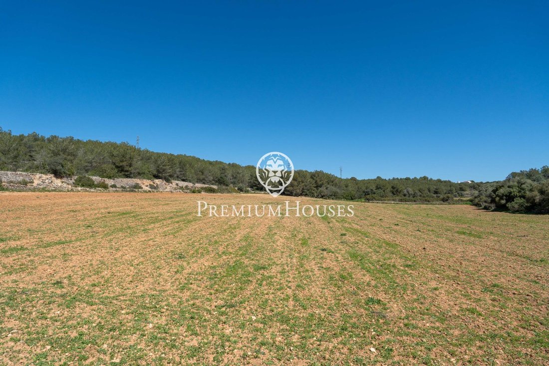 Country House in Vilanova i la Geltru, Catalonia, Spain 4 - 15470941