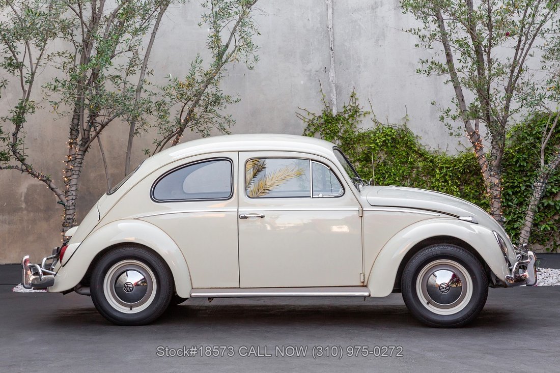 Volkswagen Beetle in Los Angeles, CA 4 - 15469373