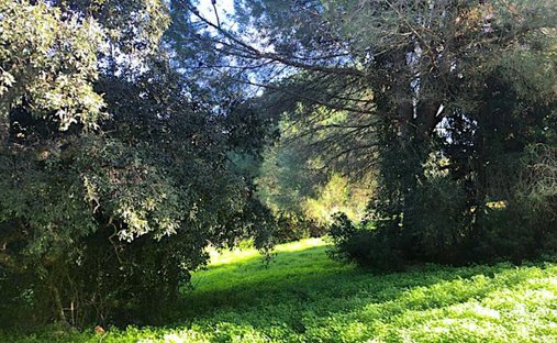 Terreno a Sotogrande, San Roque, Andalusia 1