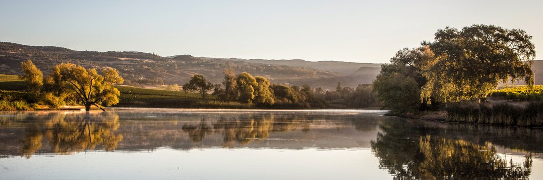 Estate in Napa, California, United States 5 - 15472770