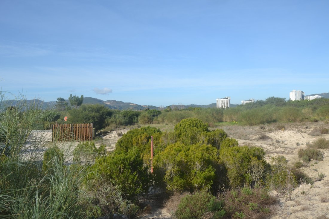 Land in Carvalhal, Setubal, Portugal 5 - 15468481
