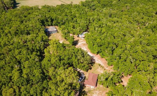 House in High Springs, Florida, United States 1