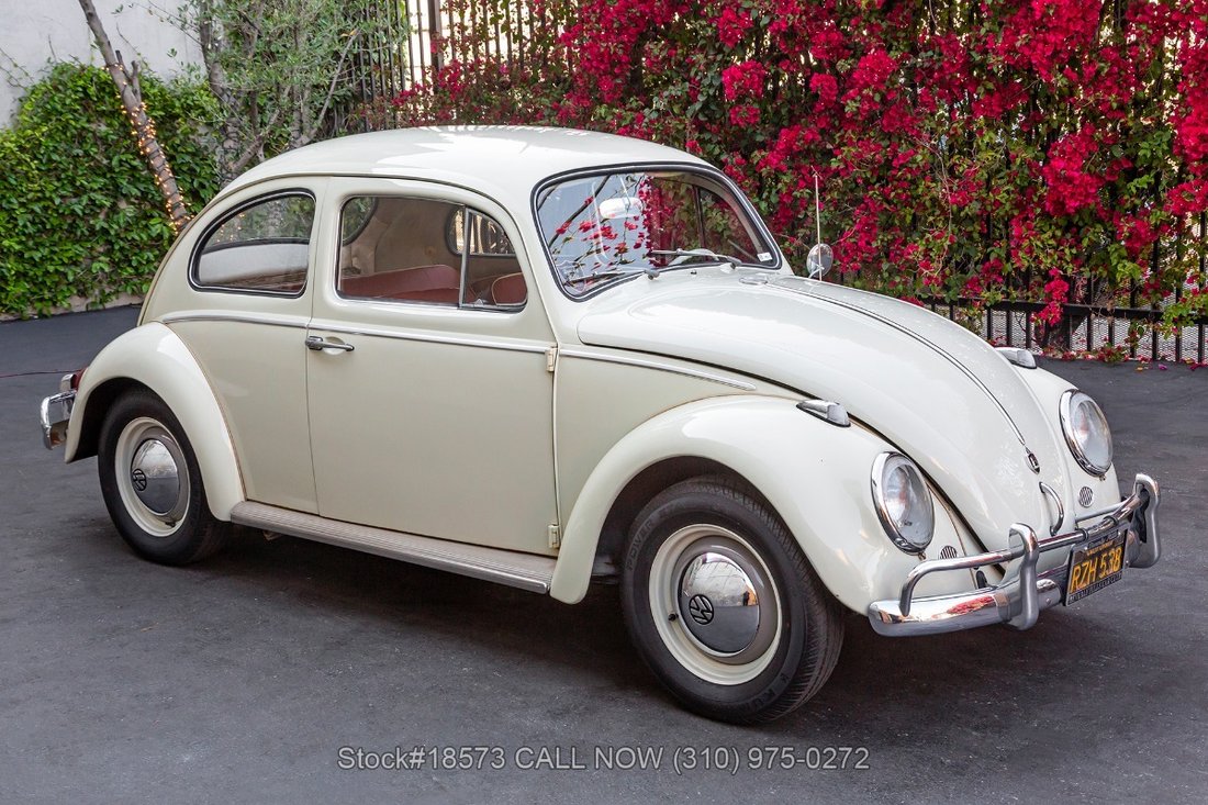 Volkswagen Beetle in Los Angeles, CA 3 - 15469373