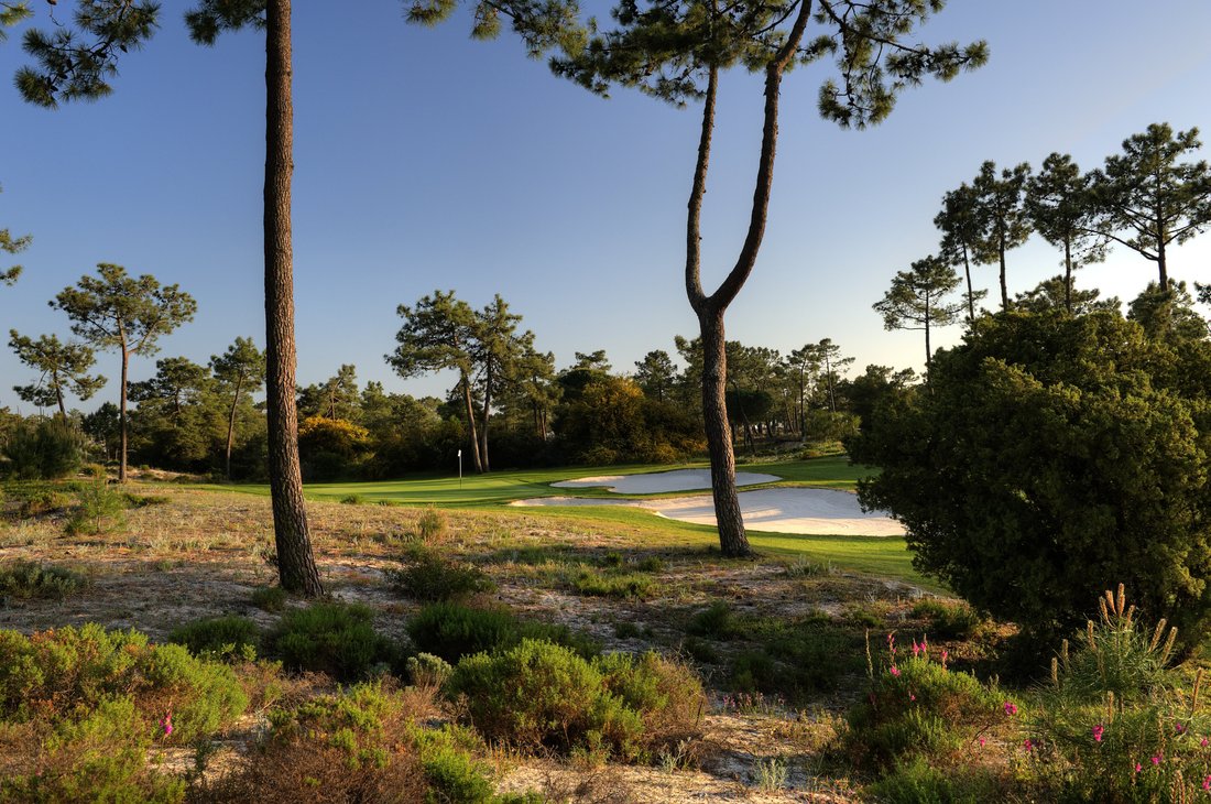 Land in Carvalhal, Setubal, Portugal 1 - 15468481