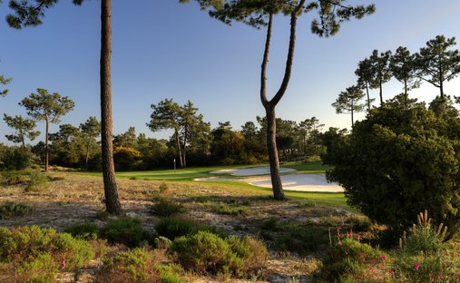 Land in Carvalhal, Setubal, Portugal 1